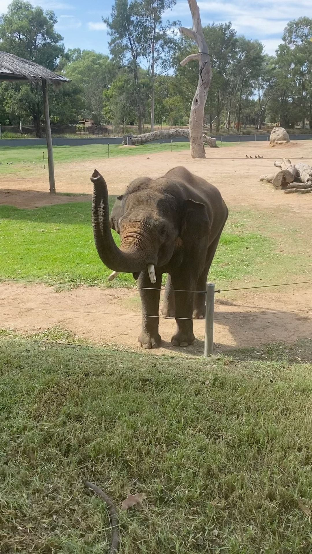 Dubbo Zoo 2025 Image -67de046f64ea9